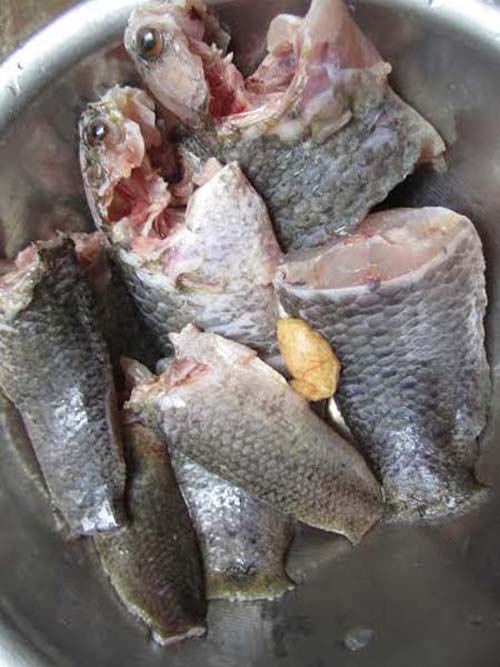 Những món ăn ngon từ cá rô
